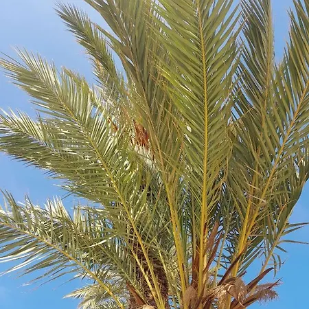 דירה Stylowy Apartament Harmonia Playa Del Cura, Hiszpania